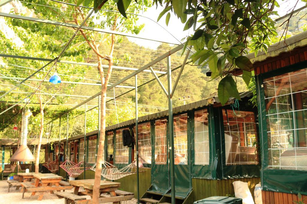 Bed and Breakfast Olympos Zeytin Экстерьер фото