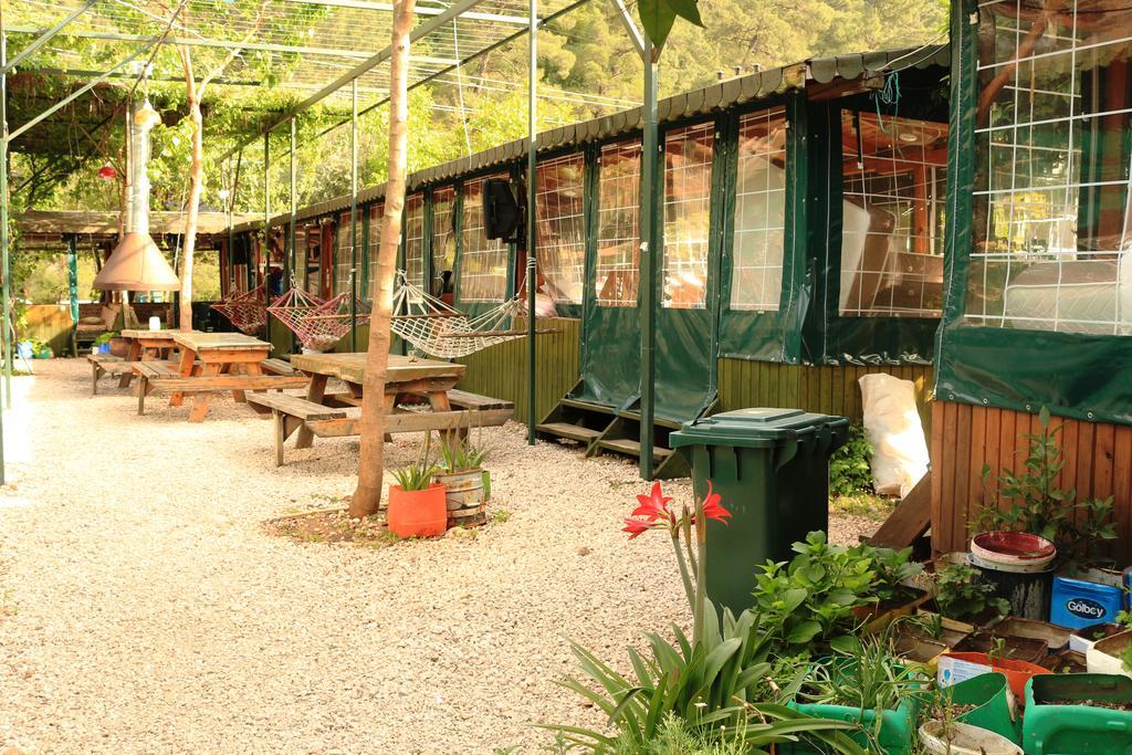 Bed and Breakfast Olympos Zeytin Экстерьер фото