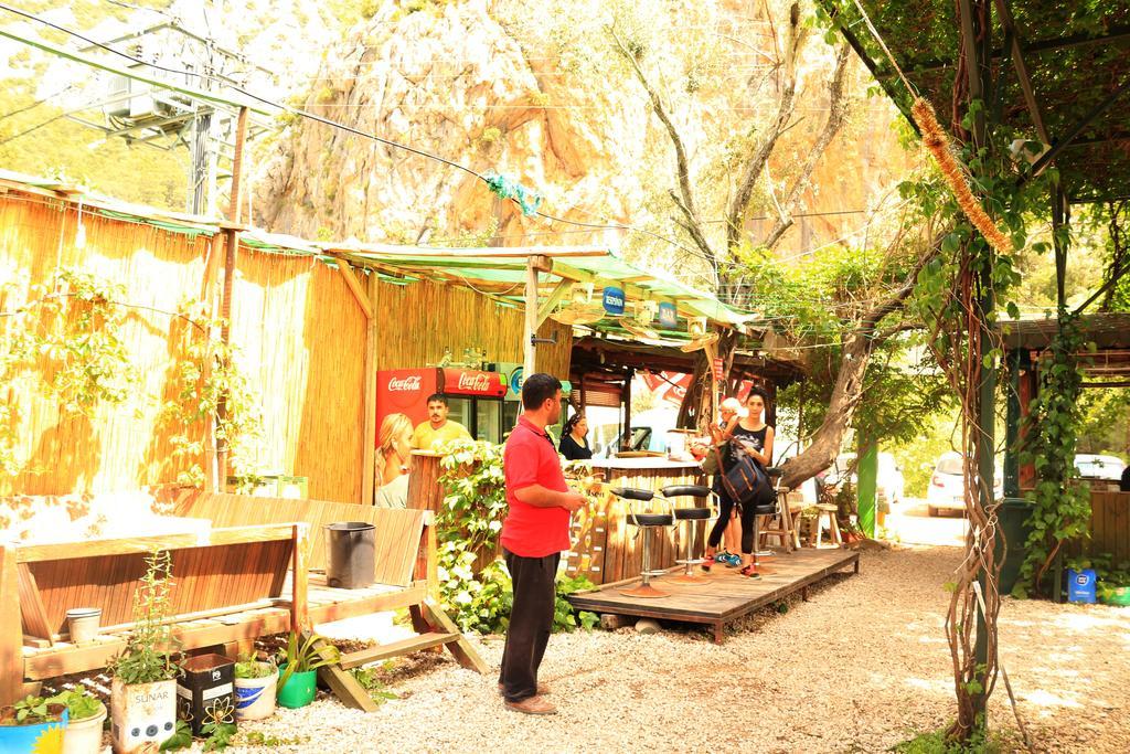 Bed and Breakfast Olympos Zeytin Экстерьер фото