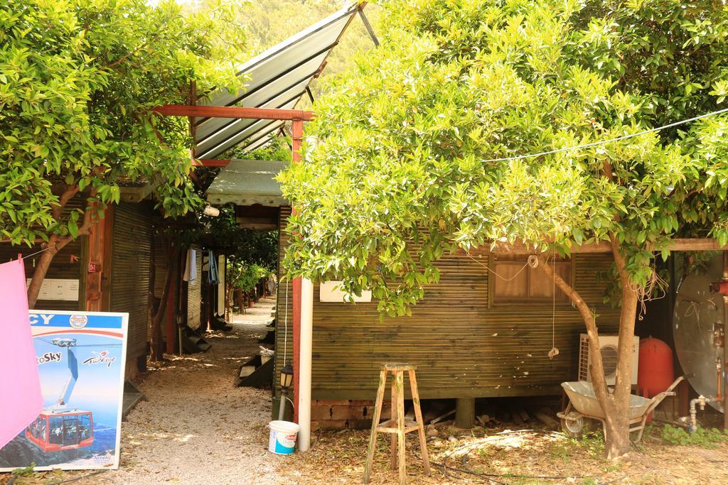 Bed and Breakfast Olympos Zeytin Экстерьер фото