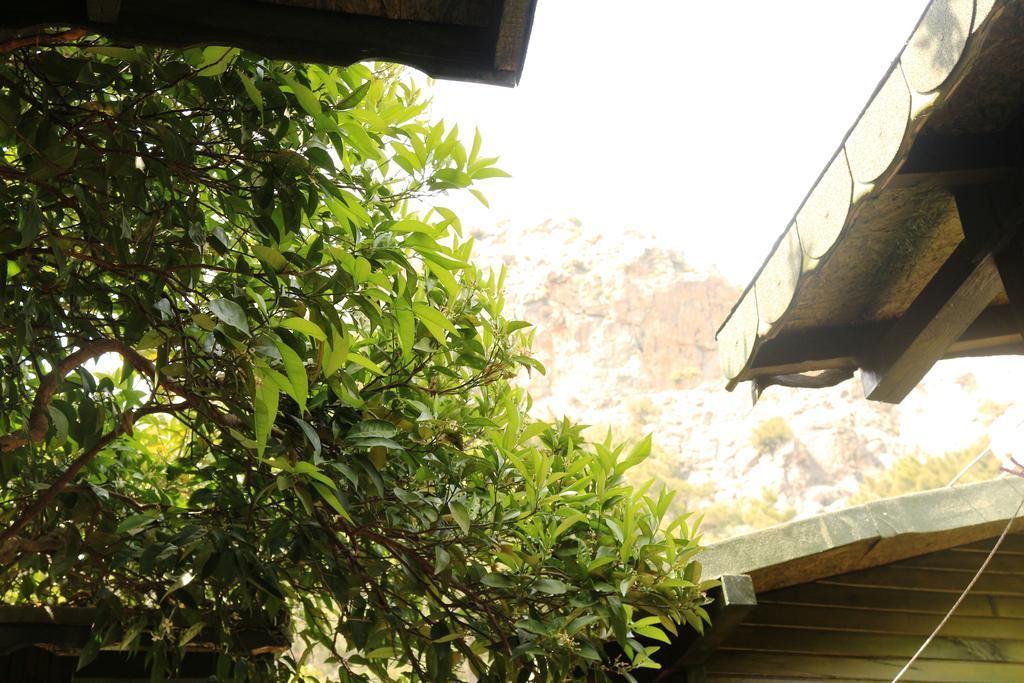 Bed and Breakfast Olympos Zeytin Экстерьер фото